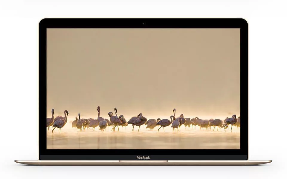 MacBook-Gold-free-mockup