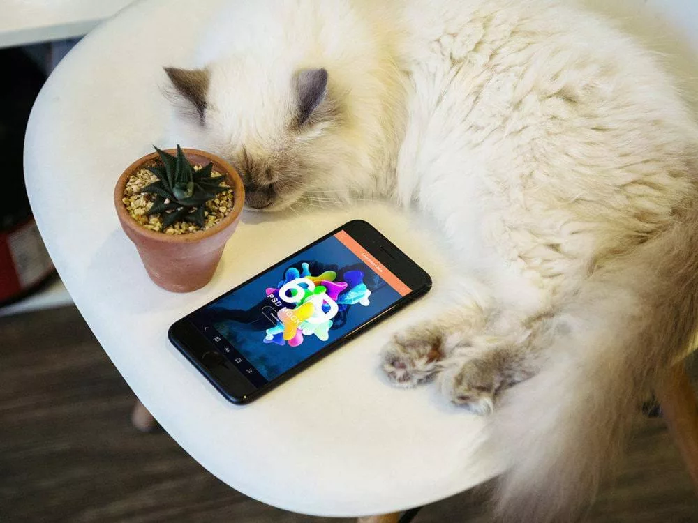 Free-iPhone-7-Realistic-PSD-Mockups