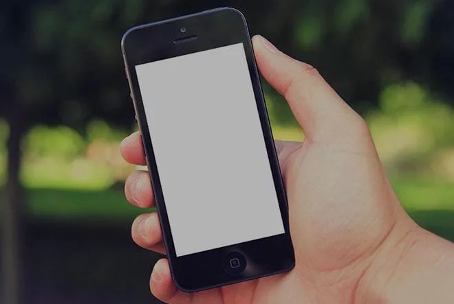 Set of 12 Apple Mockups