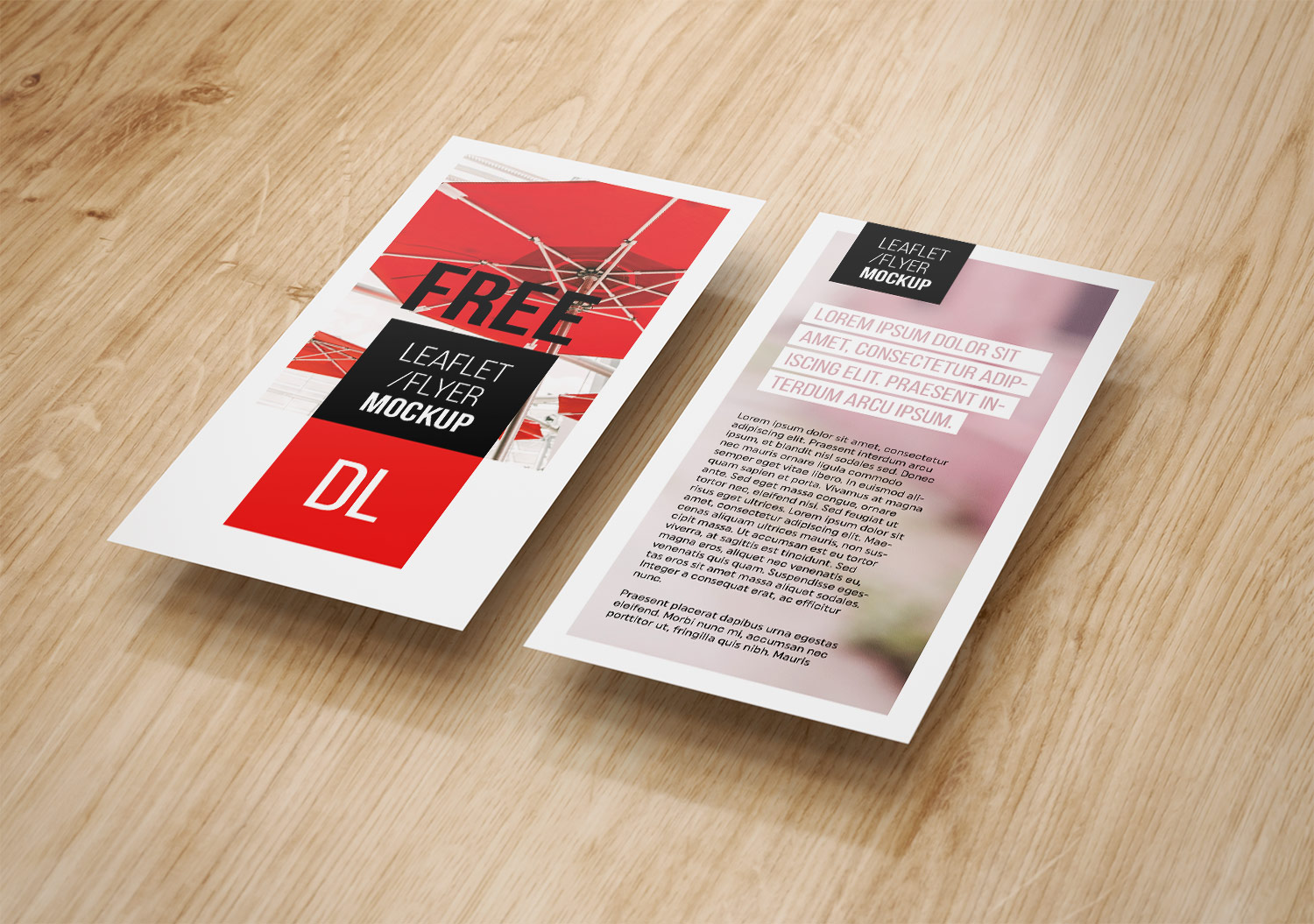 Flyer-Free-PSD-Mockup-3