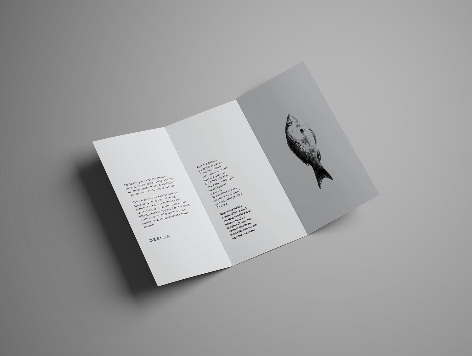 Trifold Brochure Free Mockup