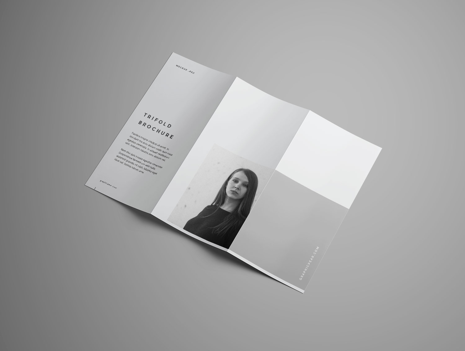 Trifold Brochure Free Mockup