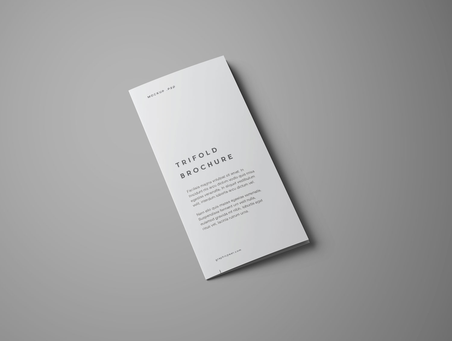 Trifold Brochure Free Mockup