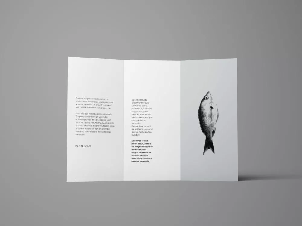 Advanced Trifold Brochure Free Mockup