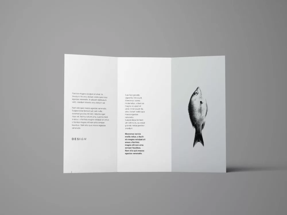 Advanced Trifold Brochure Free Mockup