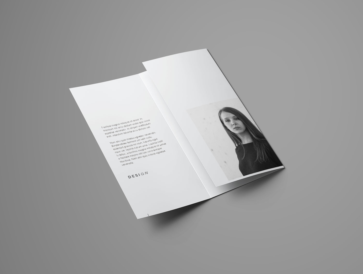 Trifold Brochure Free Mockup