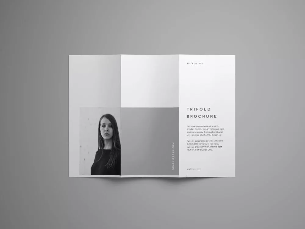 Trifold Brochure Free Mockup