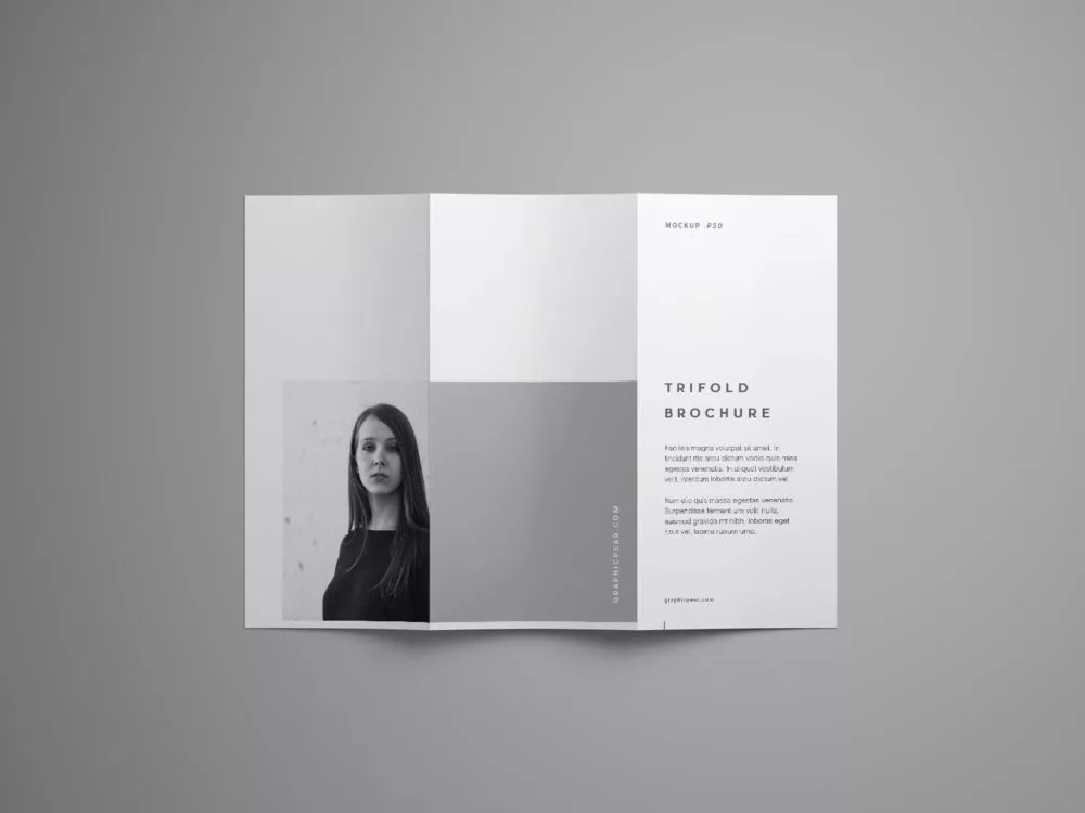 Trifold Brochure Free Mockup