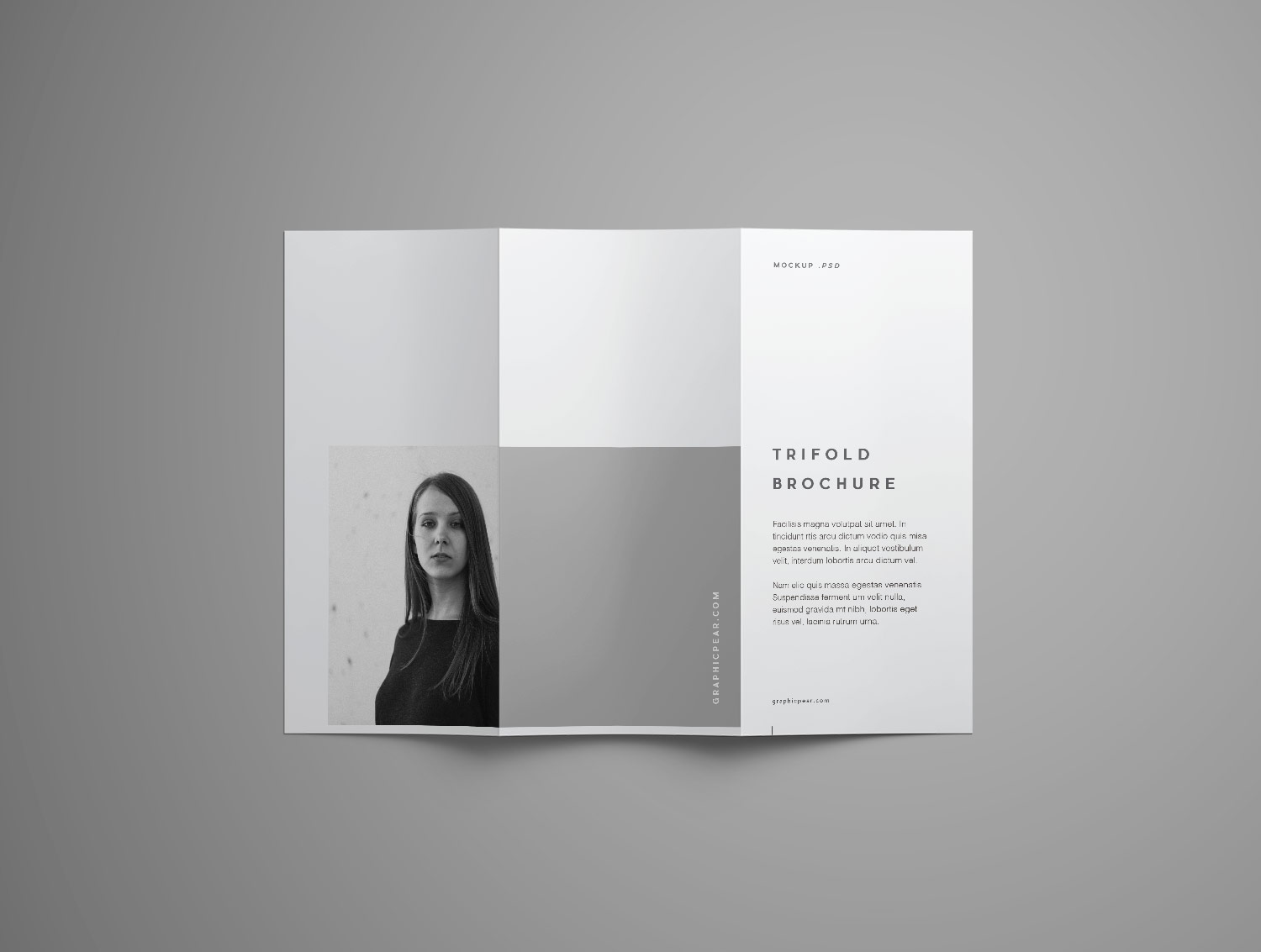 Trifold Brochure Free Mockup