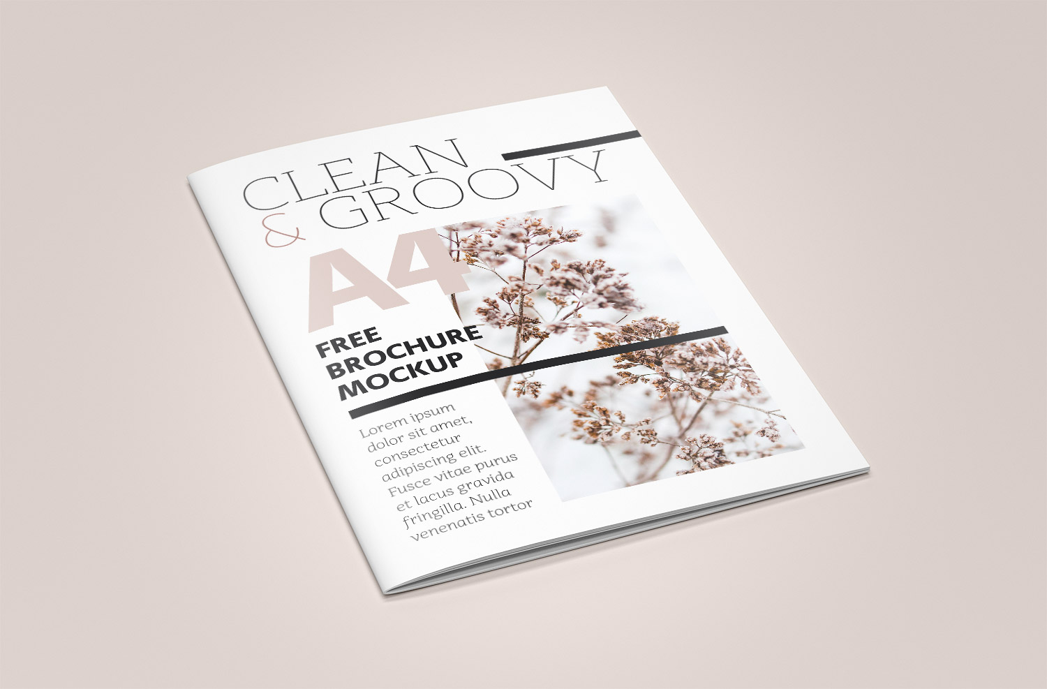 Download 6 Psd Brochure A4 Magazine Free Mockup Free Mockup