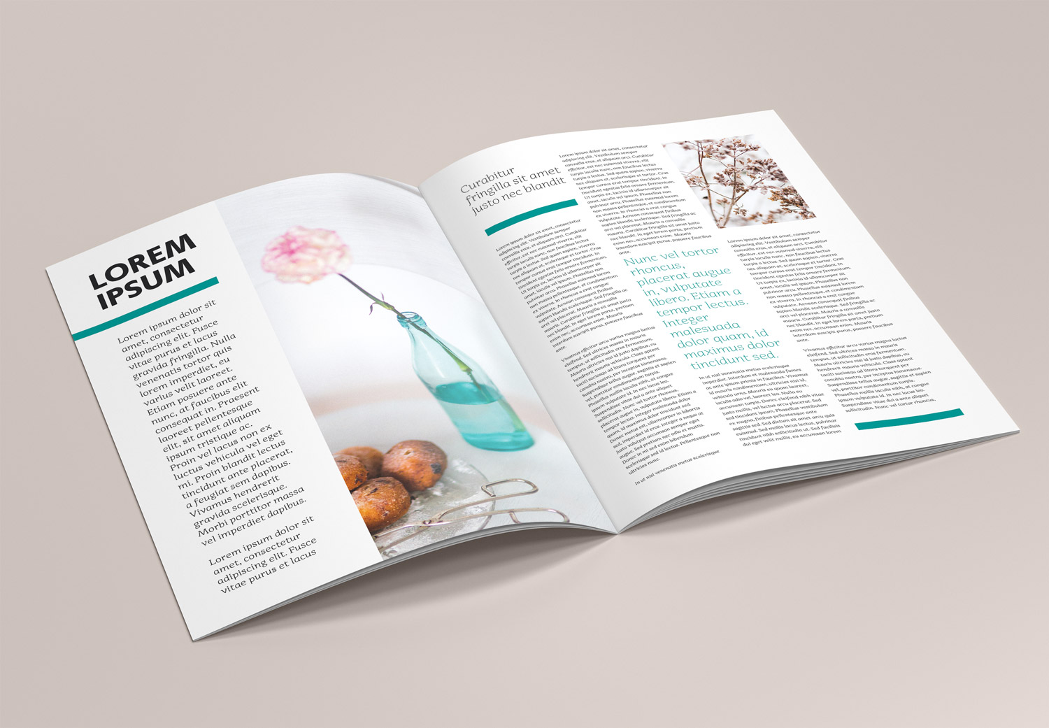 Brochure A4 Magazine Free Mockup