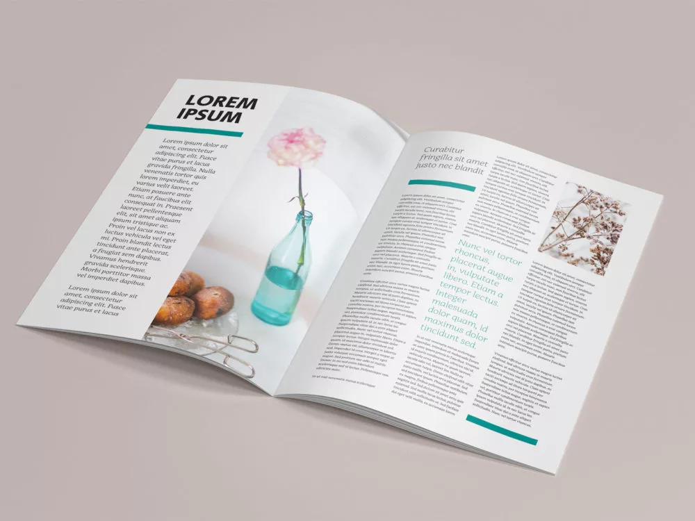 Brochure A4 Magazine Free Mockup