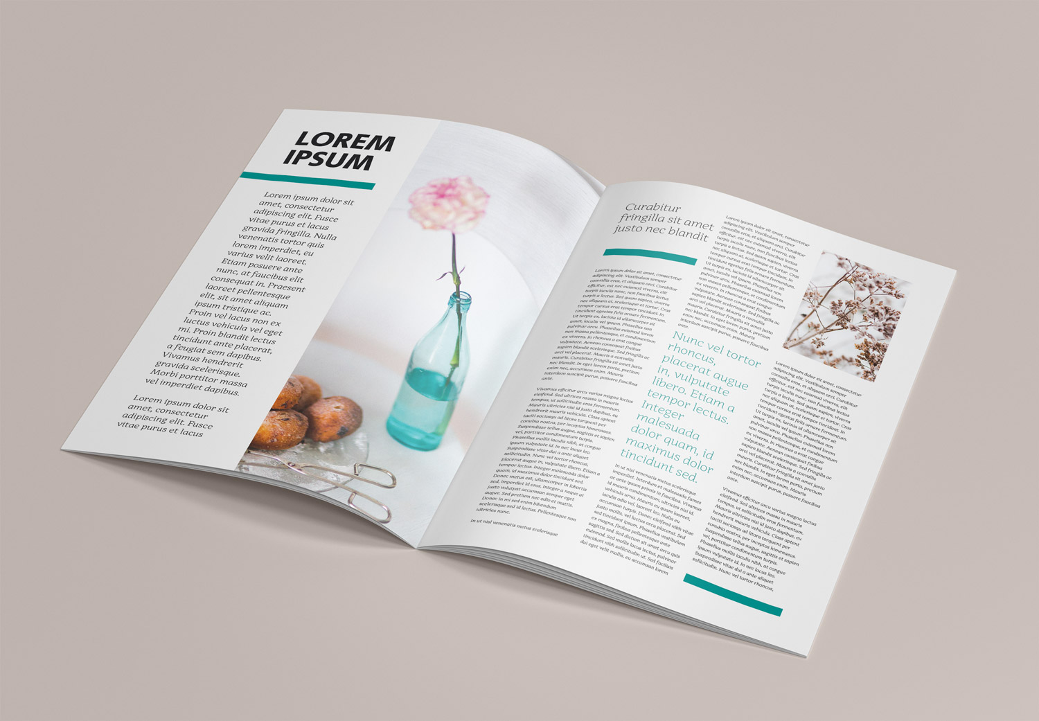 Brochure A4 Magazine Free Mockup