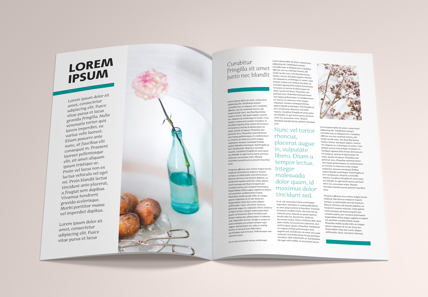 Brochure A4 Magazine Free Mockup