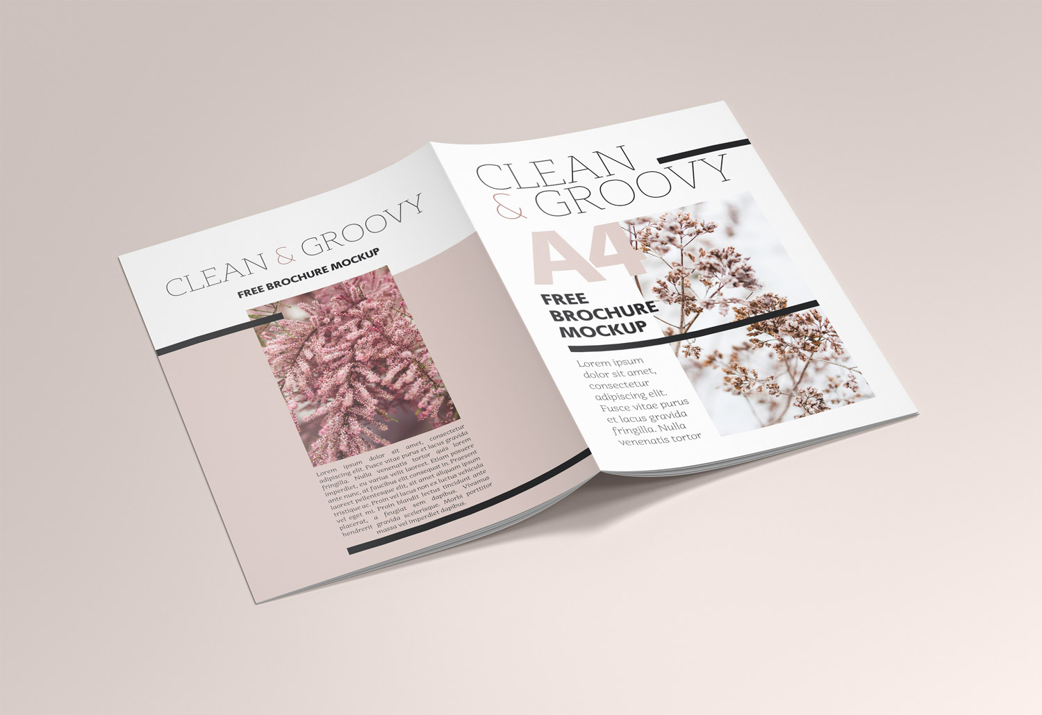 Brochure A4 Magazine Free Mockup