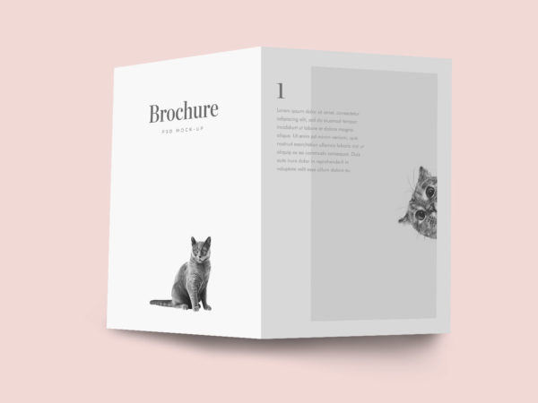 Free Bifold Brochure Mockup