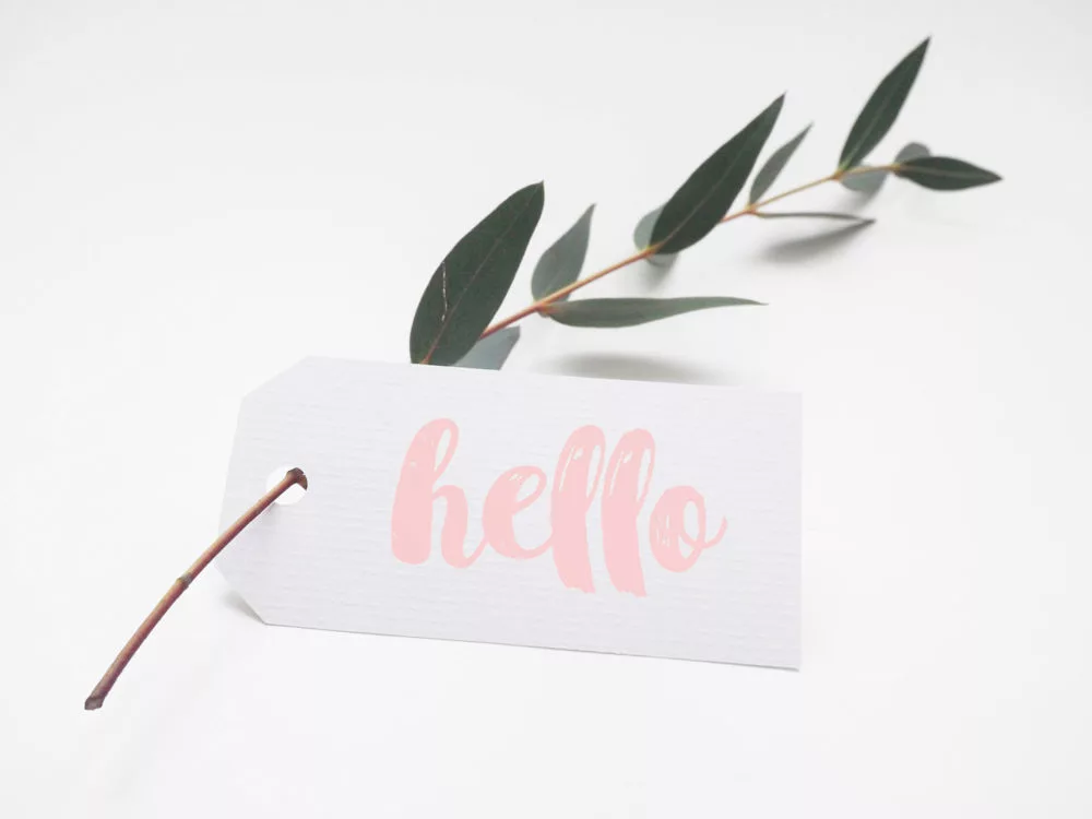 Free Tag Mockup