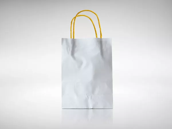 Paper Bag Mockup Free PSD