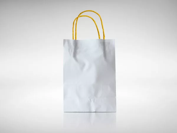 Paper Bag Mockup Free PSD