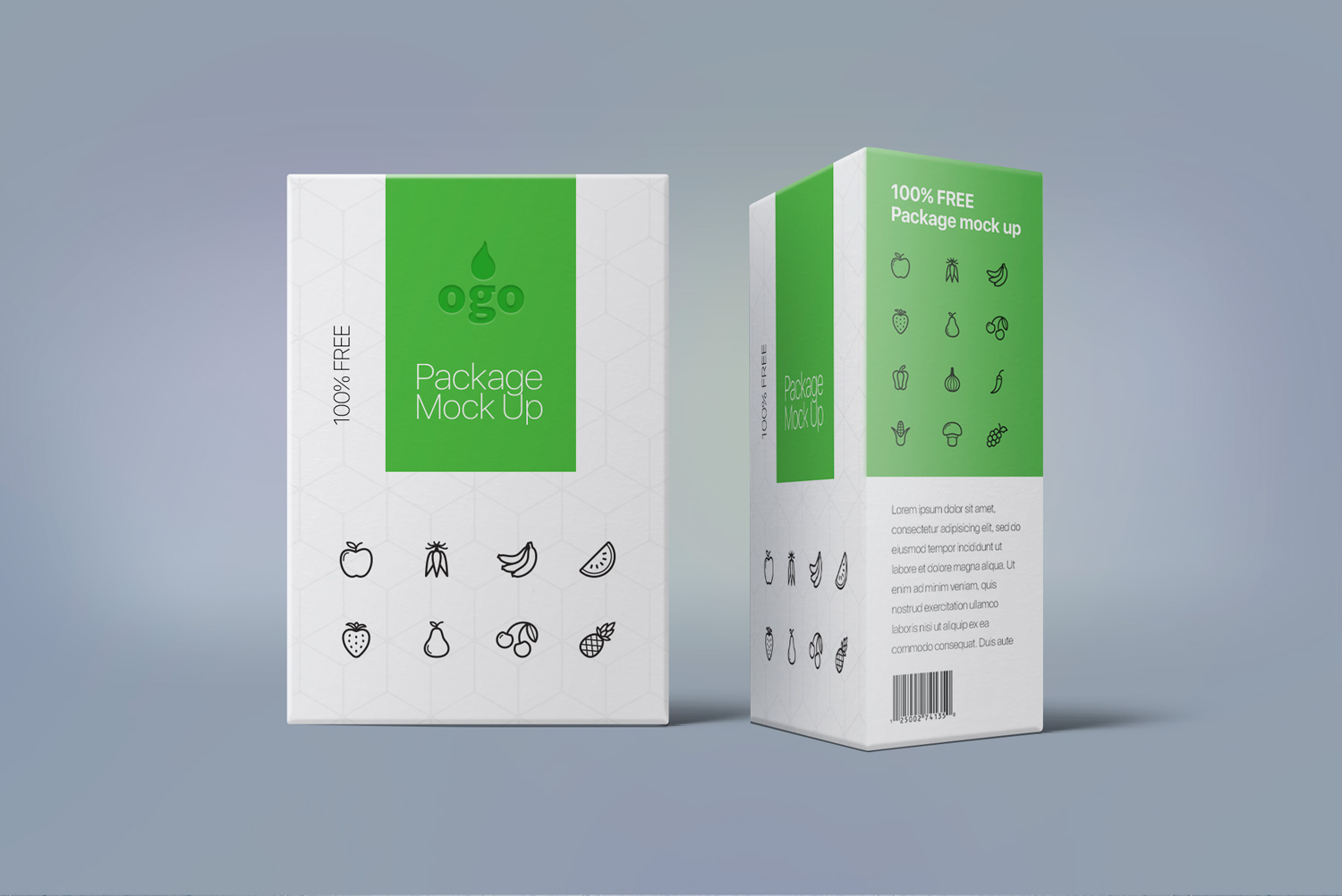 Download Box Package Design Mock Up Free Mockup PSD Mockup Templates