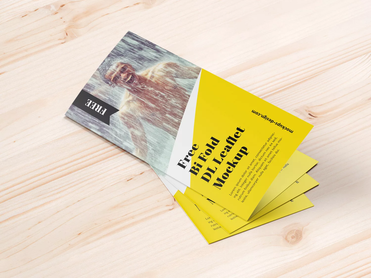 Download Branding Mockups Free Mockup Part 96 PSD Mockup Templates