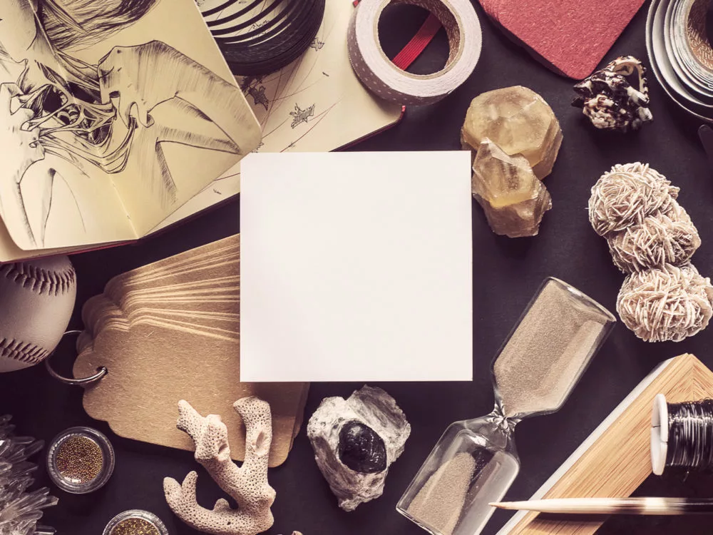 Logo Mockup Illustration Showcase