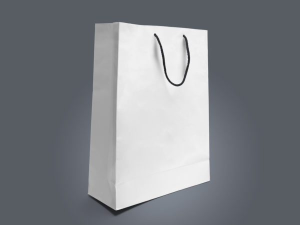 Paper Bag Mockup