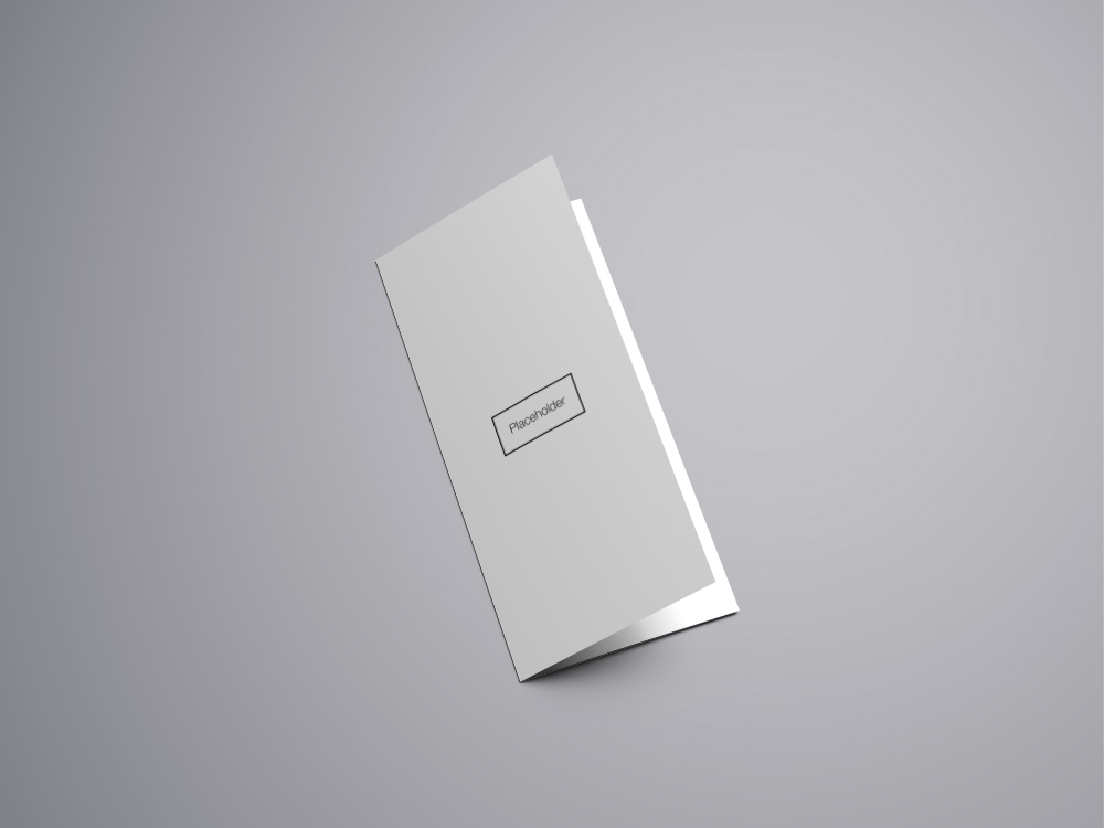 Tri-Fold-Brochure-Mockup-Free-12