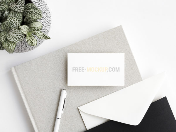 Minimalist Business Card Mockups Set