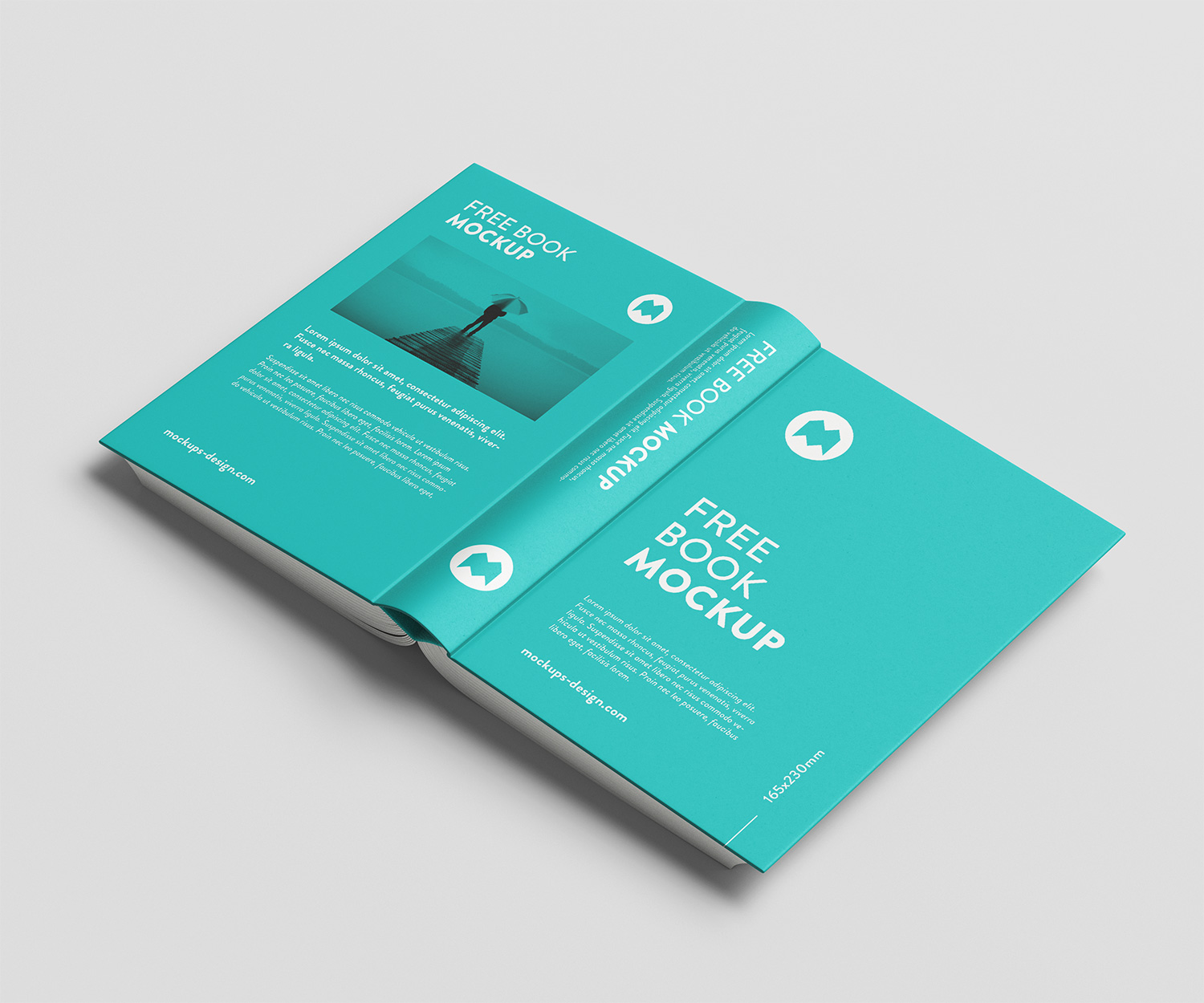 Thick-Book-Mockup-Free-06