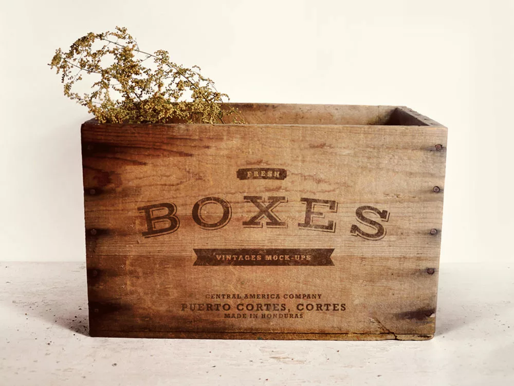 Vintage Boxes Logo Mockup Free