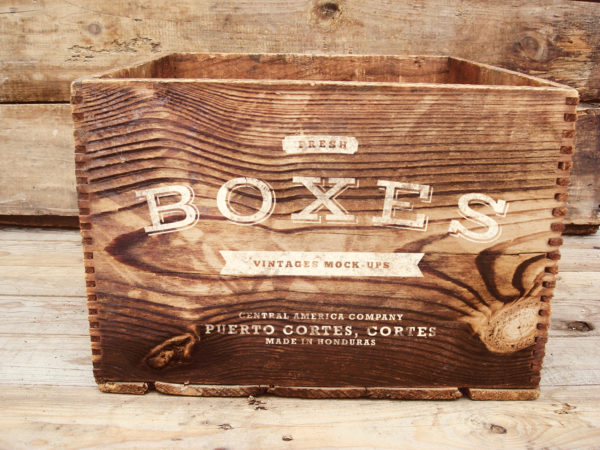 Vintage Boxes Logo Mockup Free