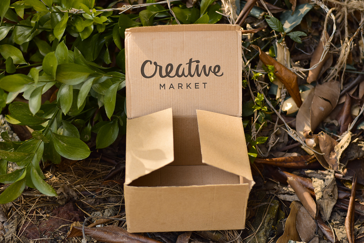 Download Cardboard Free Mockup PSD | Free Mockup