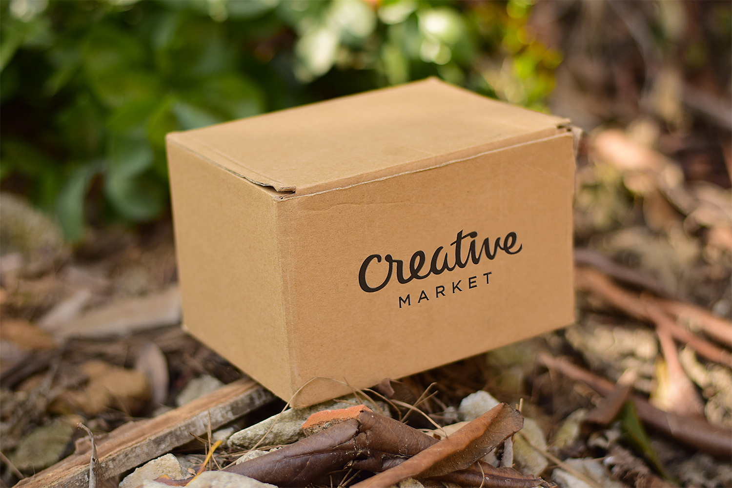 Cardboard-Free-Mockup-PSD-04