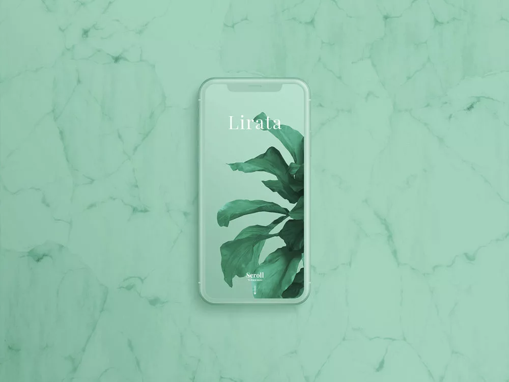 Custom iPhone X on Marble