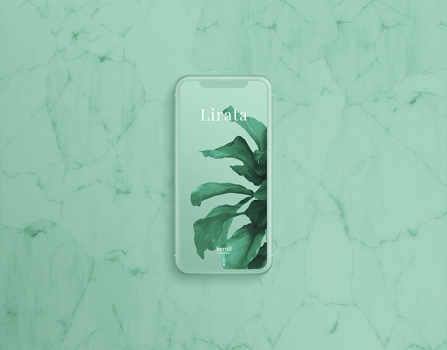 Custom-iPhone-X-on-Marble-01