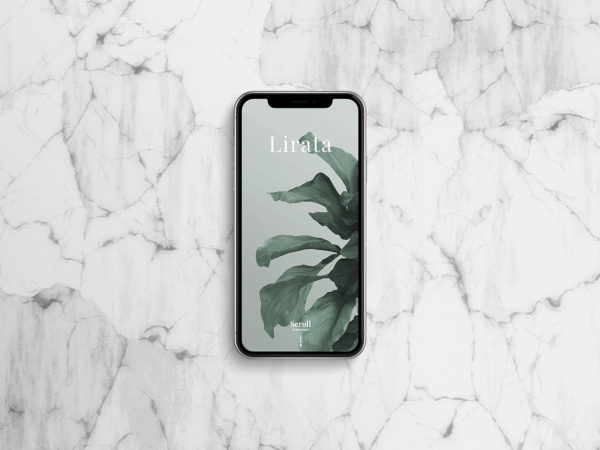 Custom iPhone X on Marble