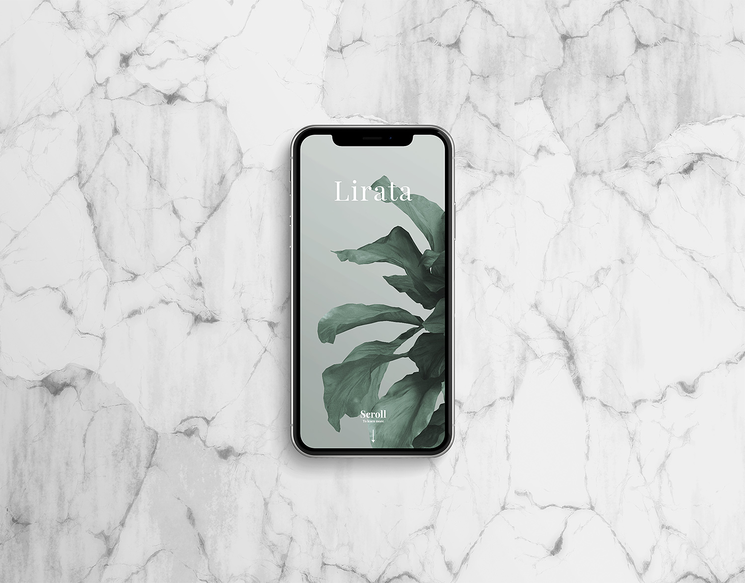 Custom-iPhone-X-on-Marble-02