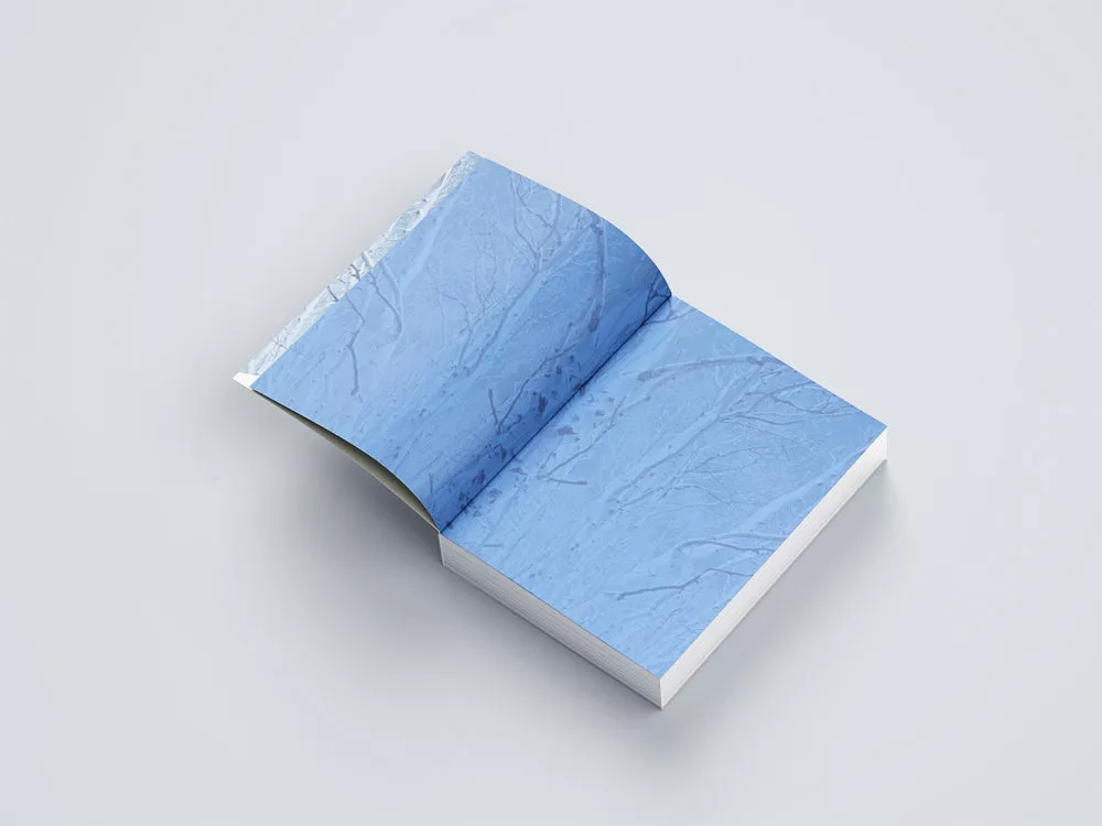 Free Softcover Book Mockup
