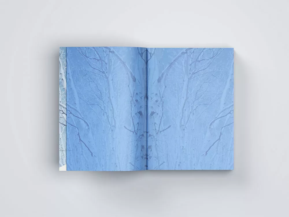 Free Softcover Book Mockup