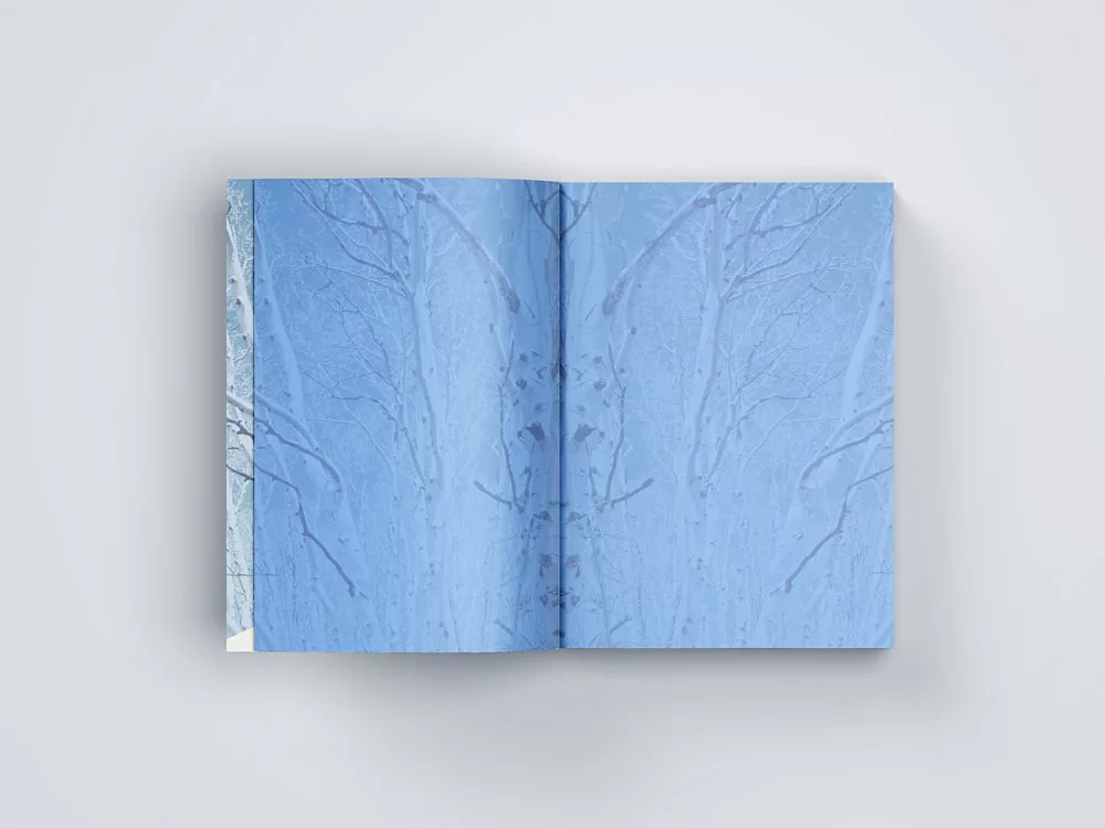 Free Softcover Book Mockup