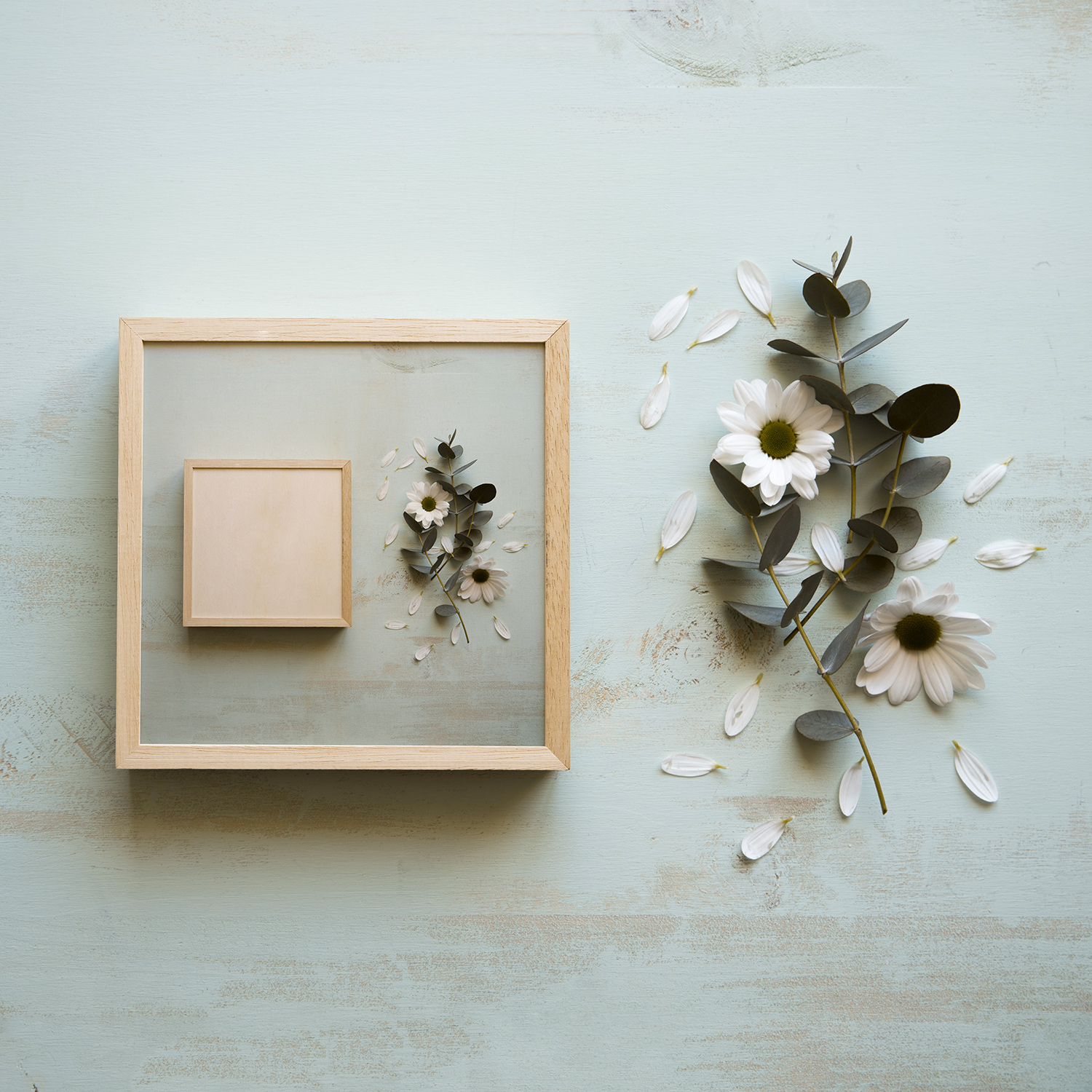 Download Square Frame Free Mockup | Free Mockup