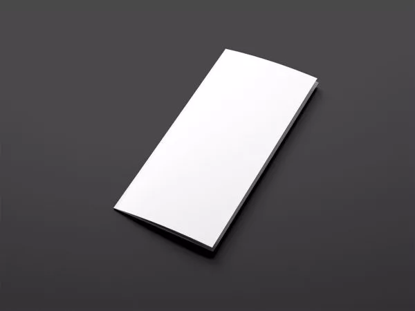 Folded Trifold Brochure Mockup (Free Version)