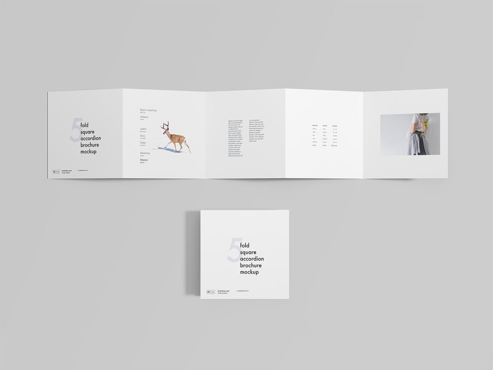 5 Fold Square Accordion Brochure Mockup