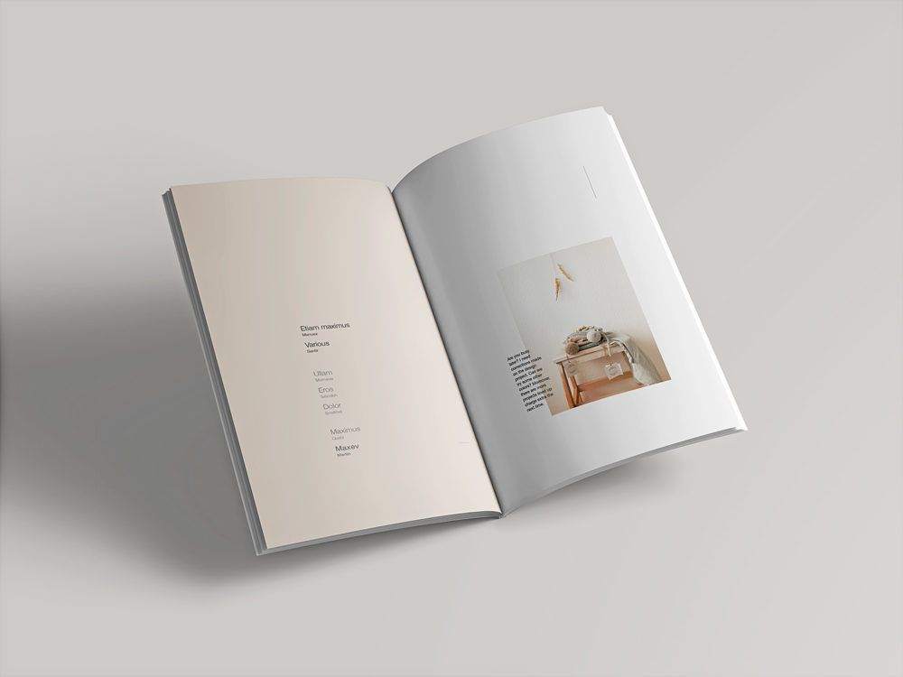 Download Free Open Magazine Mockup Free Mockup