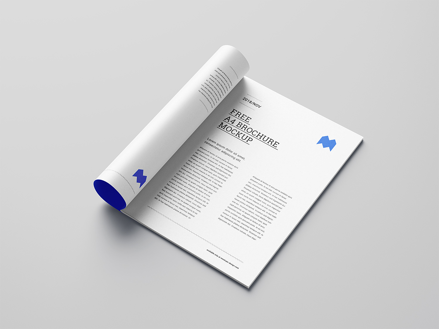 Free-A4-Brochure-Mockup-03