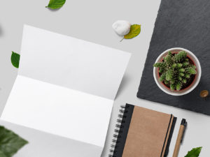 Free Nature Branding Mockup Scene | The Free Mockup