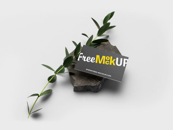 Free Business Card Mockup