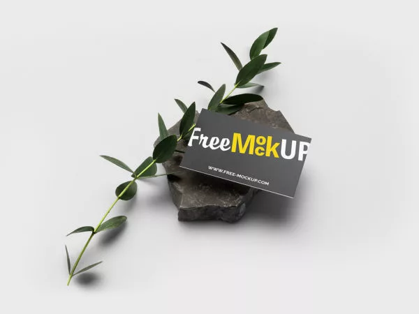 Free Business Card Mockup