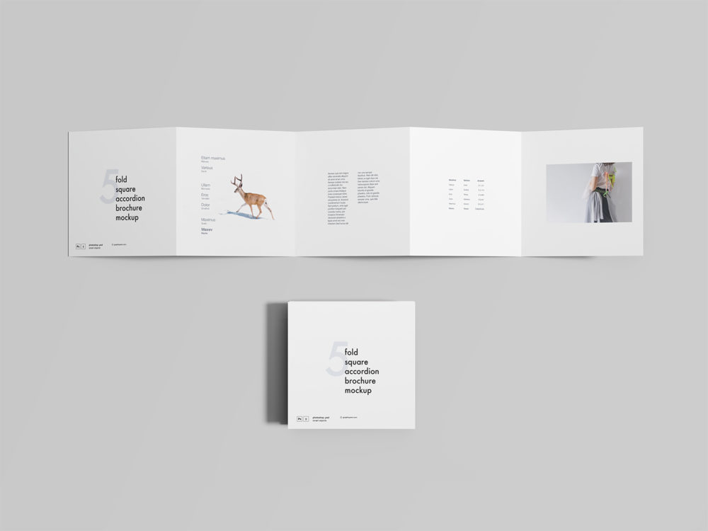 Free Five-Fold Square Accordion Brochure Mockup